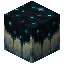 Sculk Catalyst